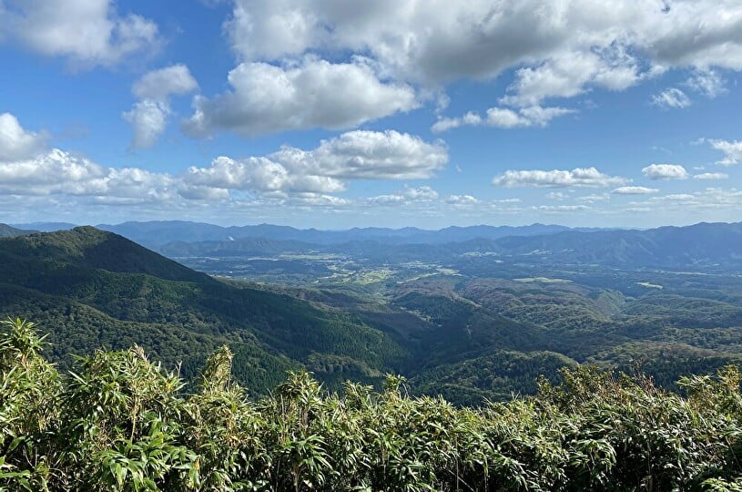 画像4