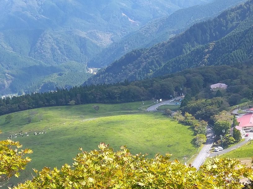 画像1