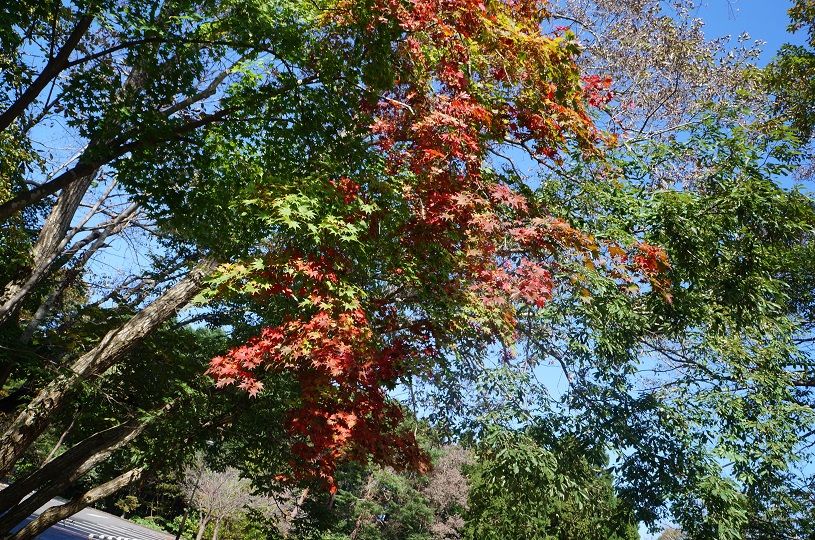 画像2
