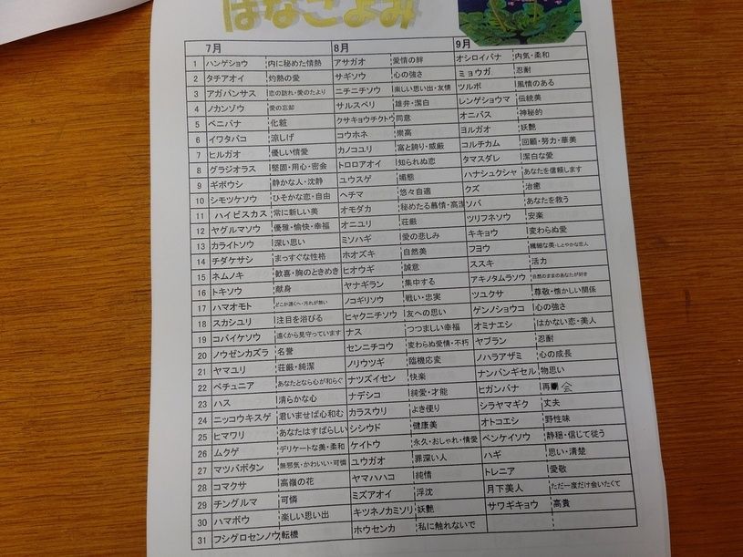 画像5