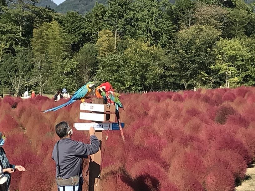 画像4