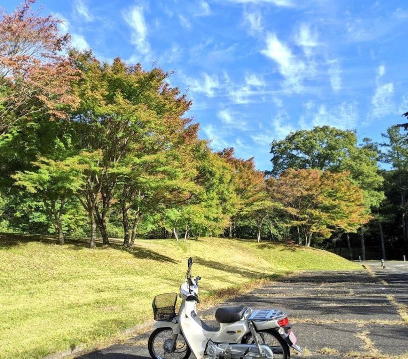 画像1