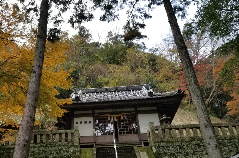 画像2
