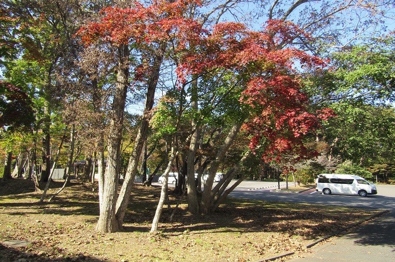 画像2