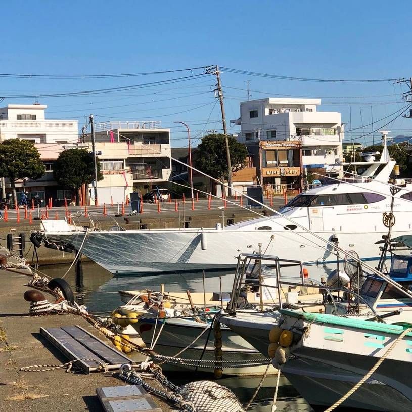 画像2