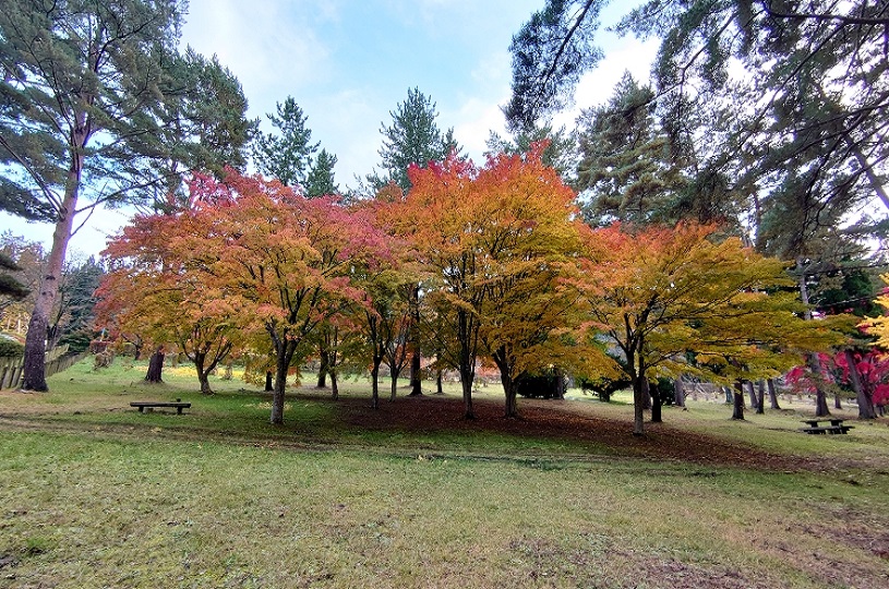 画像3