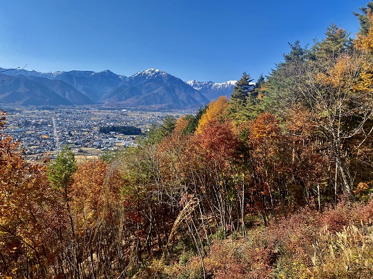 画像1