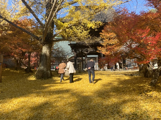 画像1