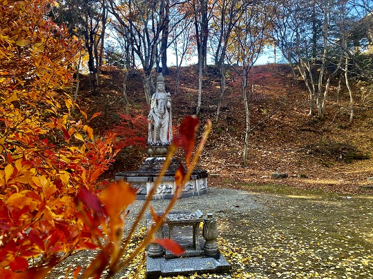 画像5