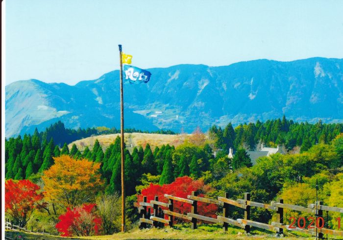 画像2