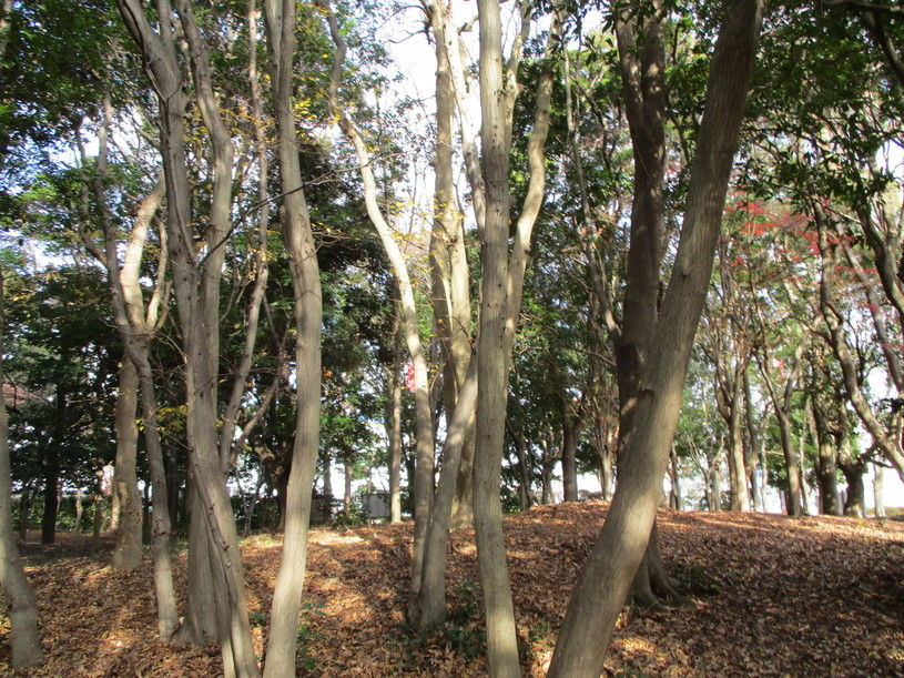 画像3