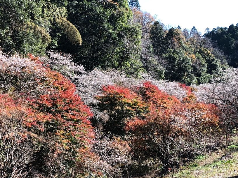 画像2