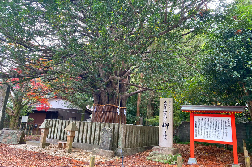画像2