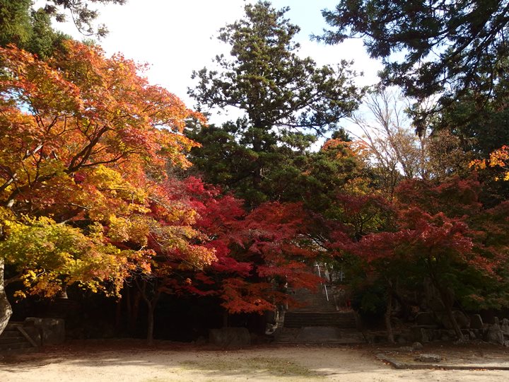 画像2
