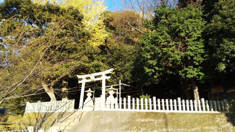 画像1