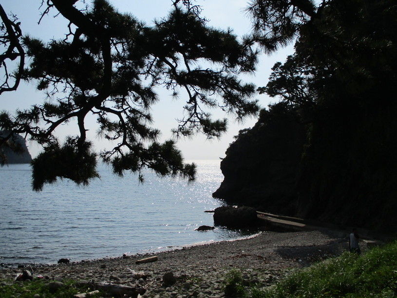 画像2