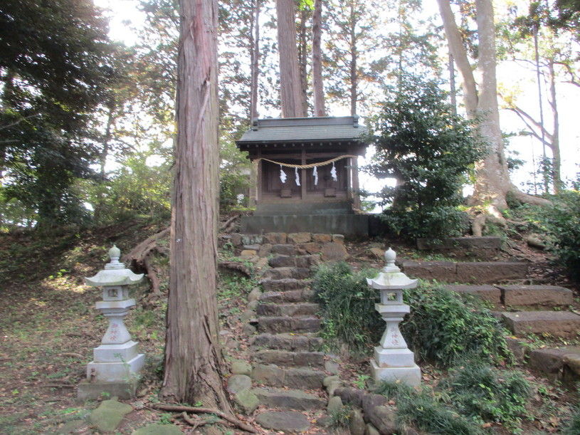 画像4