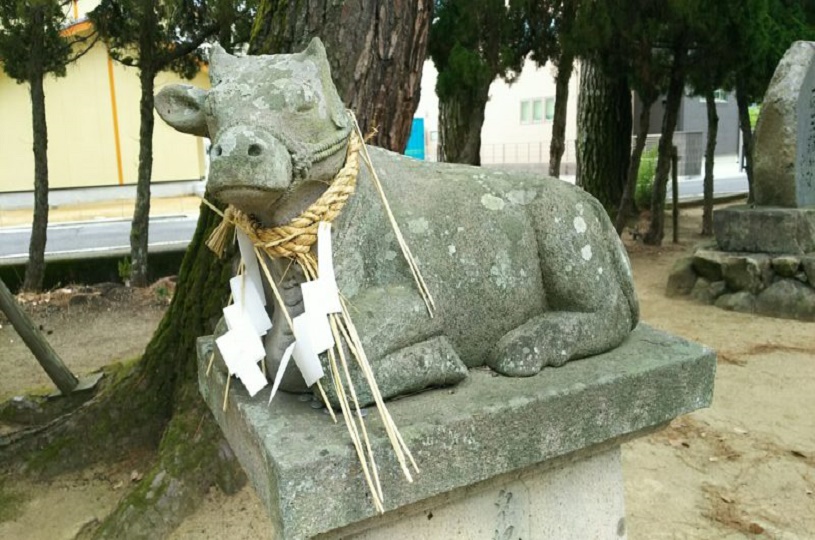画像3