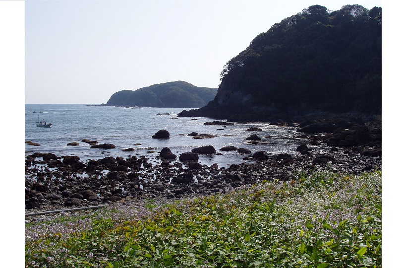 画像3