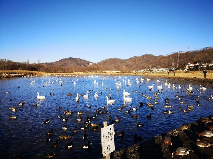画像1