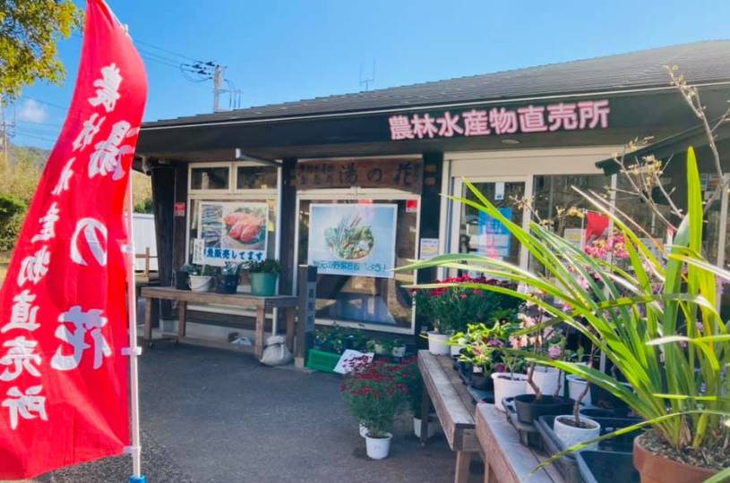 画像2