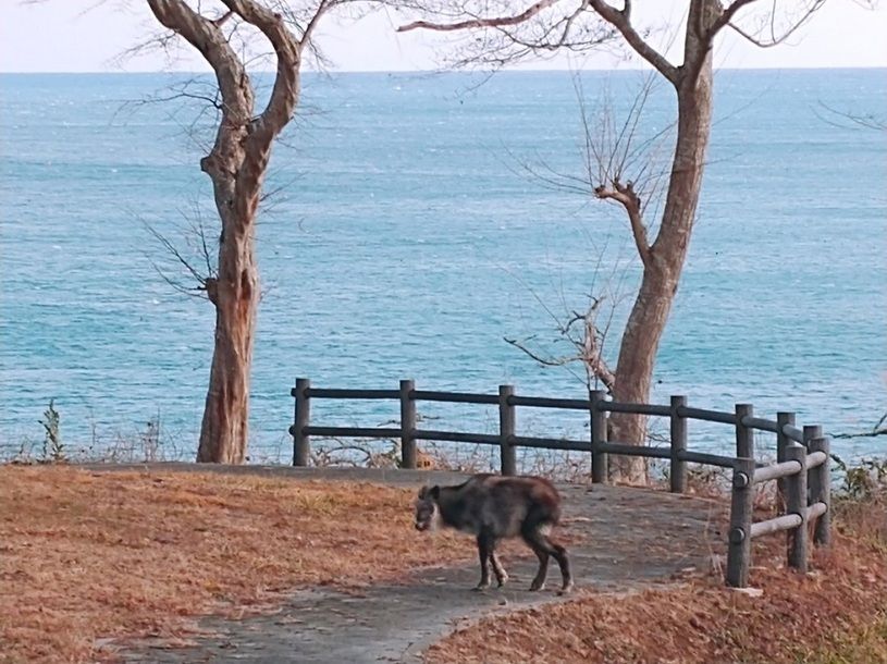 画像2