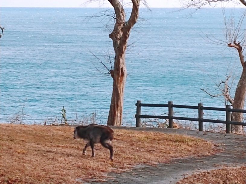 画像3