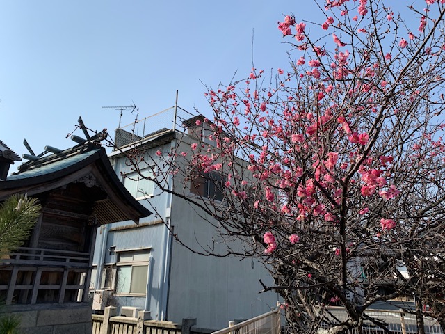 画像3
