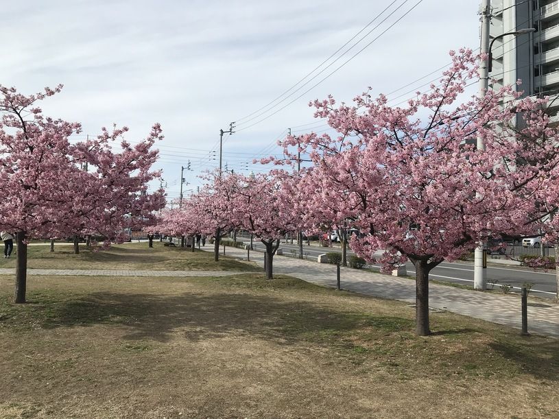 画像2