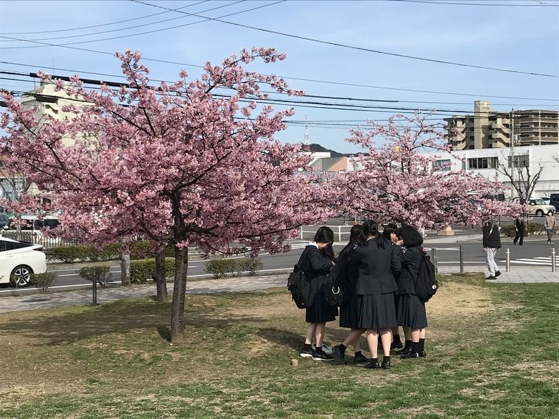 画像3