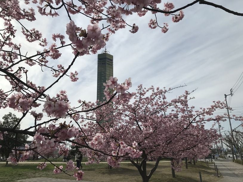 画像1