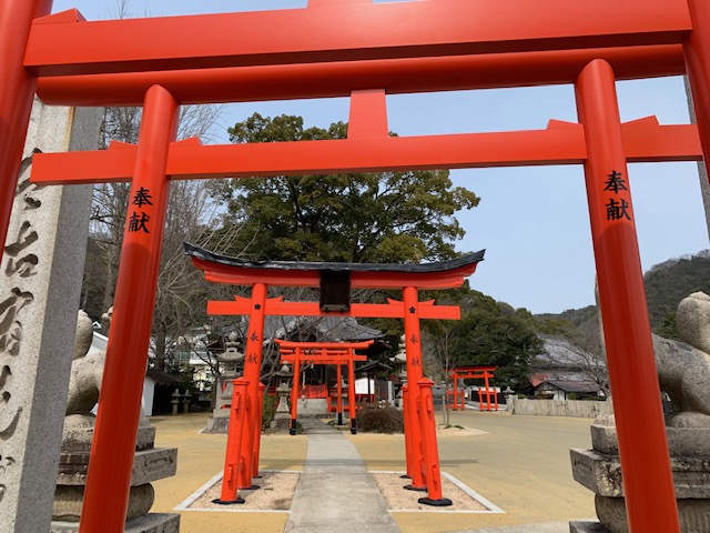 画像4