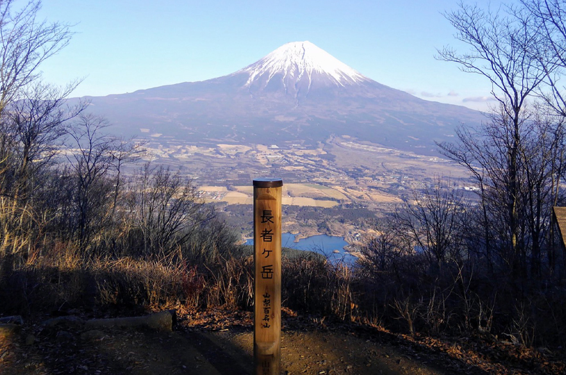画像1