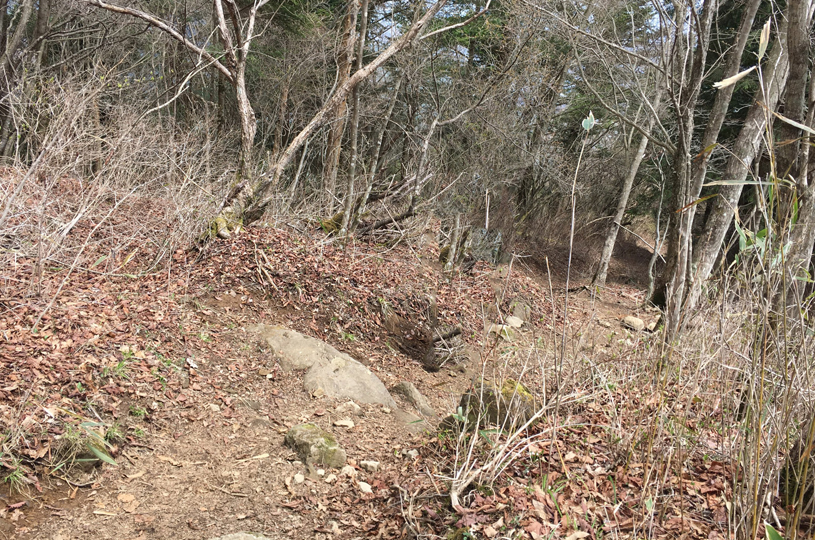 画像2