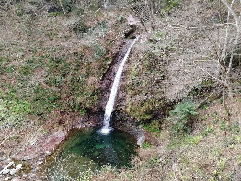 画像2