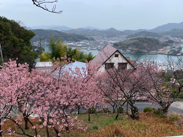 画像2