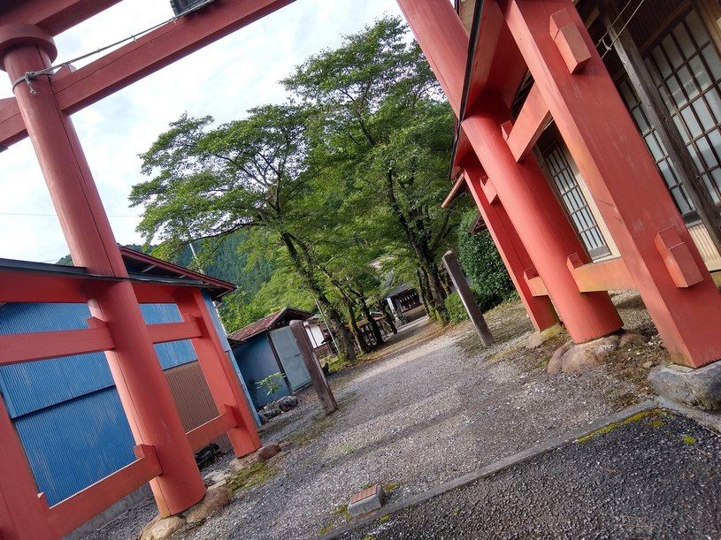 画像4
