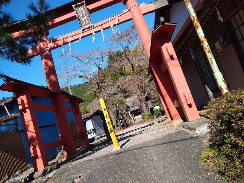 画像4