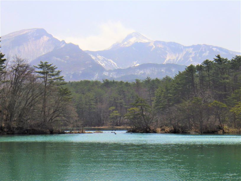 画像1