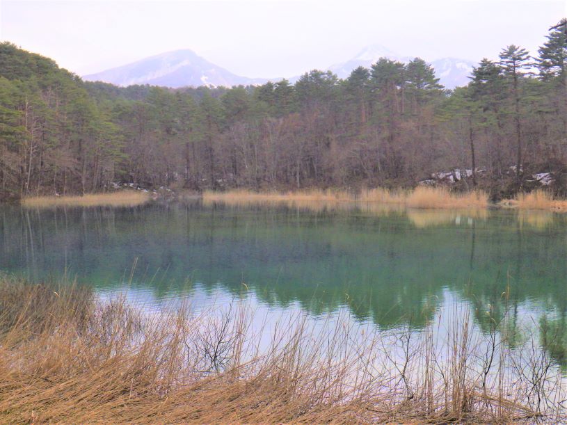画像1