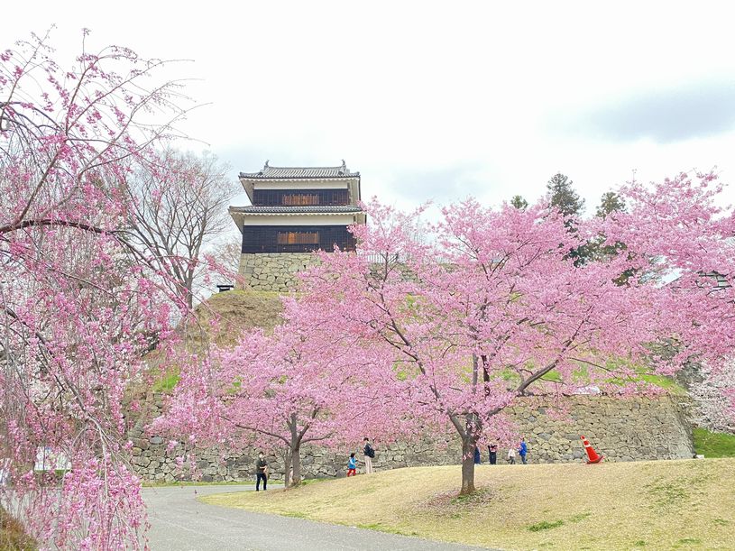 画像1