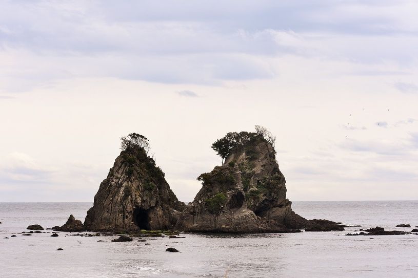 画像1