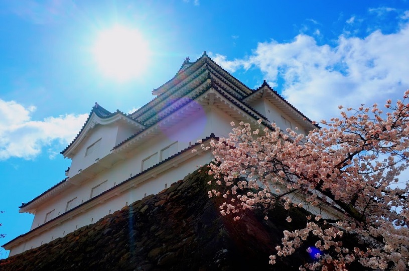 画像1