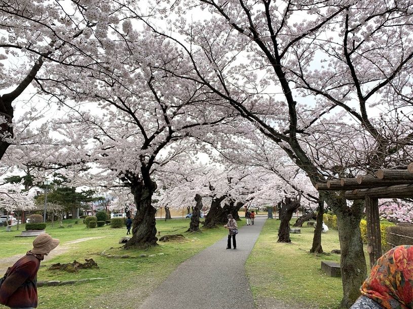 画像1