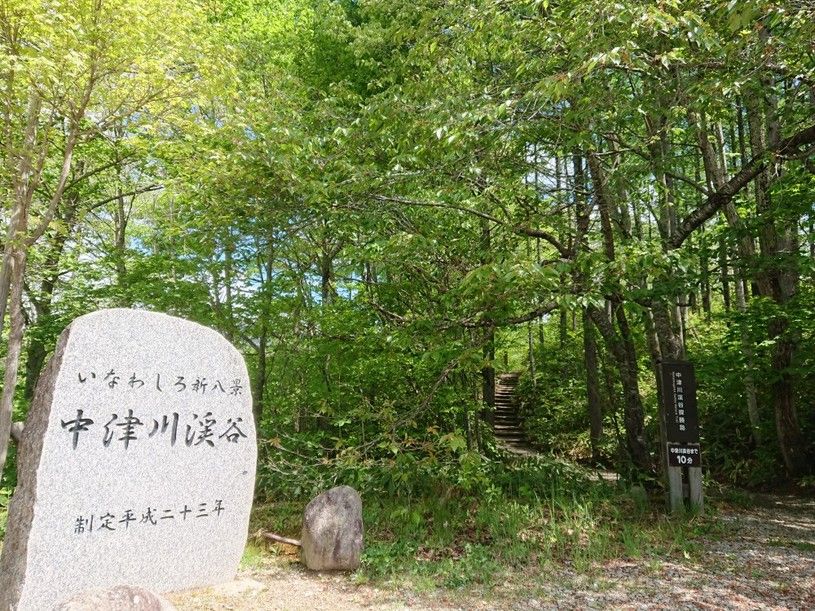画像2