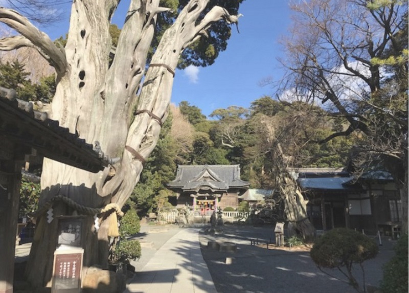 画像2