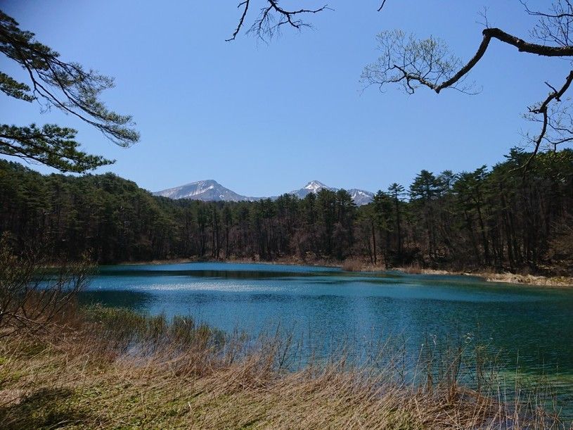 画像2