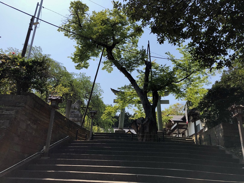 画像1
