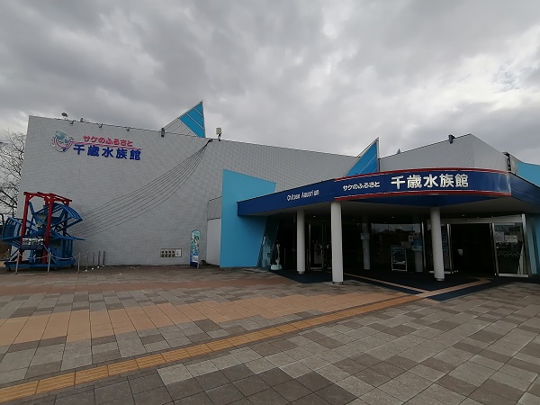 画像1