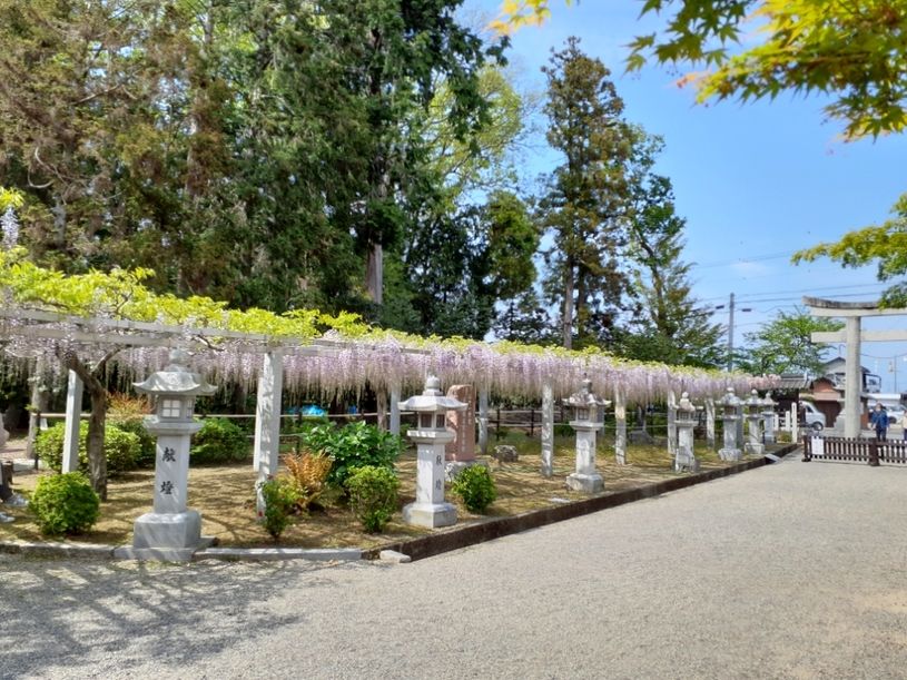 画像4